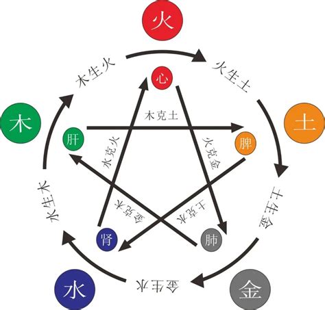 水和木 五行|郭极中：解析五行（木、火、土、金、水）相克的理论。